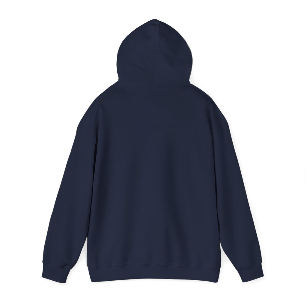 Biplane Aviation Graphic Hoodie
