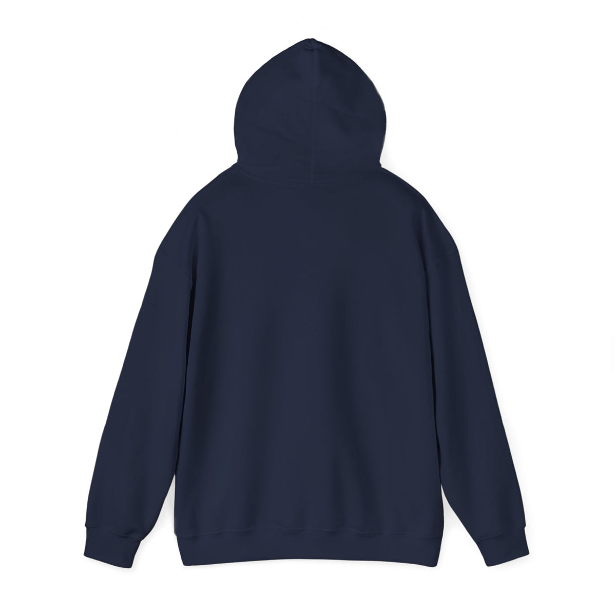 Biplane Aviation Graphic Hoodie