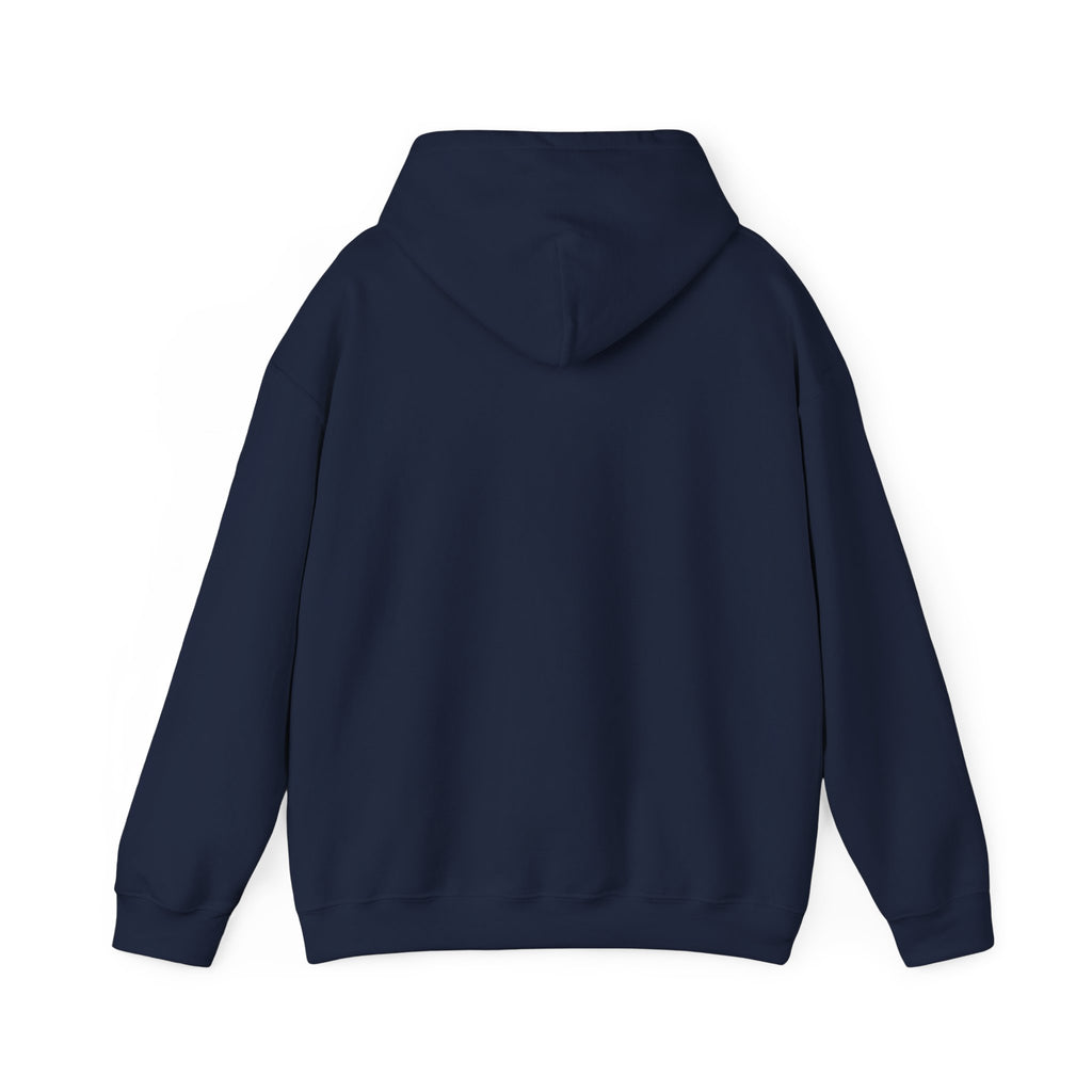 Biplane Aviation Graphic Hoodie