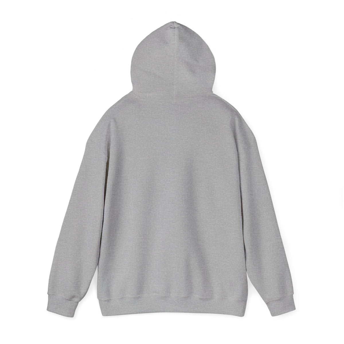 Biplane Aviation Graphic Hoodie