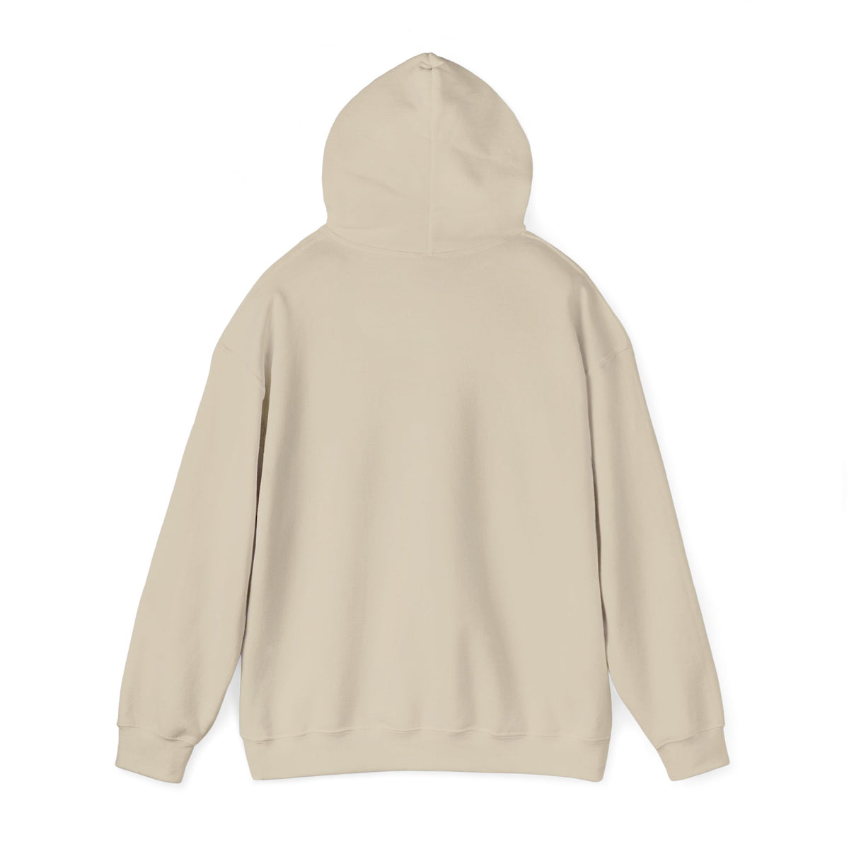Biplane Aviation Graphic Hoodie